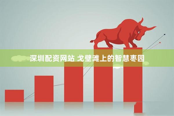 深圳配资网站 戈壁滩上的智慧枣园